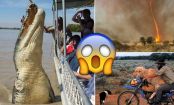 30 Pics that PROVE that AUSTRALIA is the CRAZIEST place on EARTH