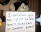 BUSTED: 22 totally EVIL cats who were SHAMED for their CRIMES