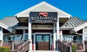 The Downfall of Red Lobster: The Restaurant's Bankruptcy Explained