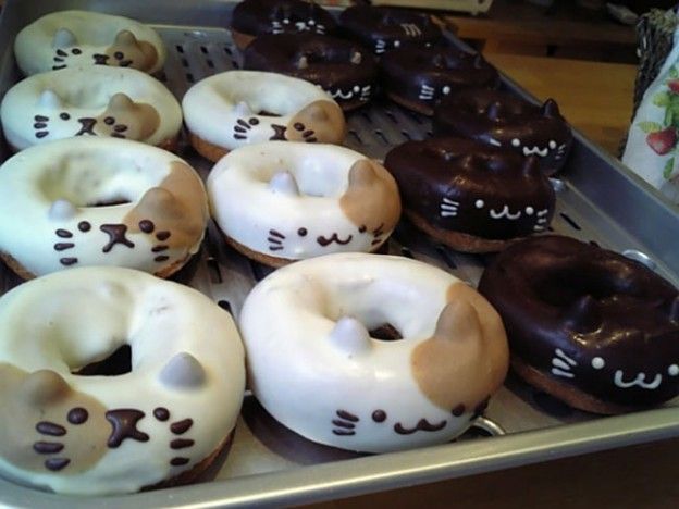 Donut cats