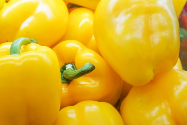 Yellow Bell Pepper