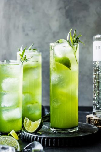 Tarragon Gin and Tonic