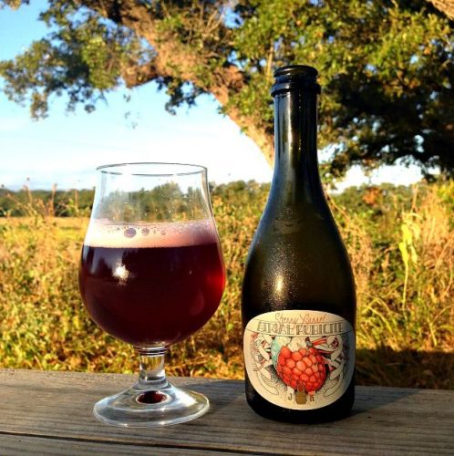 6. Jester King Atrial Rubicite