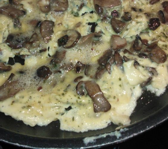 Mushroom omelet