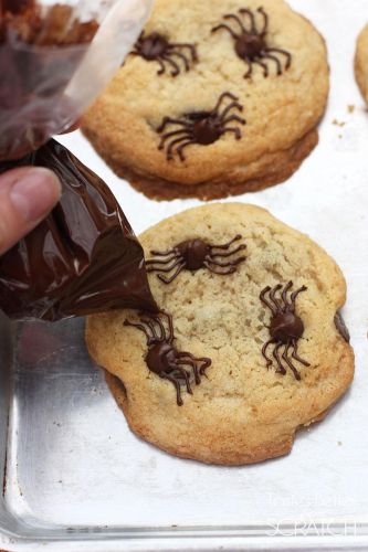 Chocolate chip spider cookies