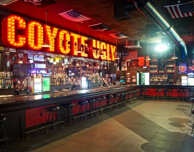 Coyote Ugly Saloon (New York, NY, USA)