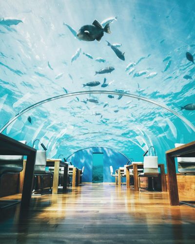 Ithaa Undersea Restaurant, Maldives — $320 per person