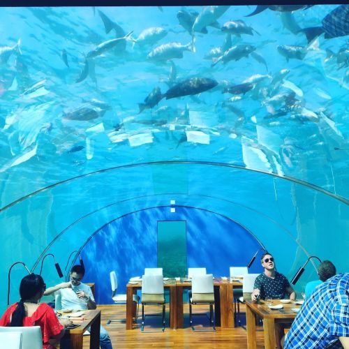 Ithaa Undersea Restaurant, Conrad Rangali Island, Maldives