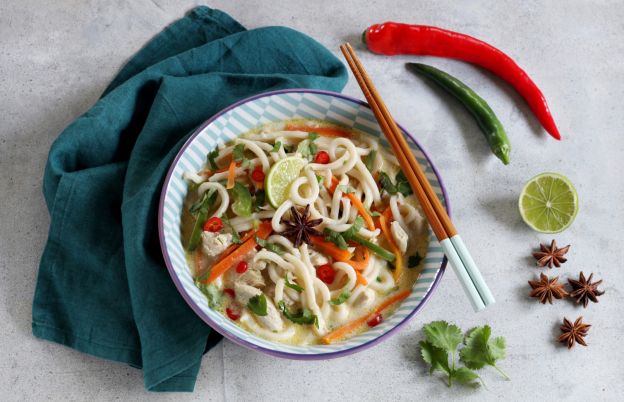 Curried Udon Chicken Noodle Soup