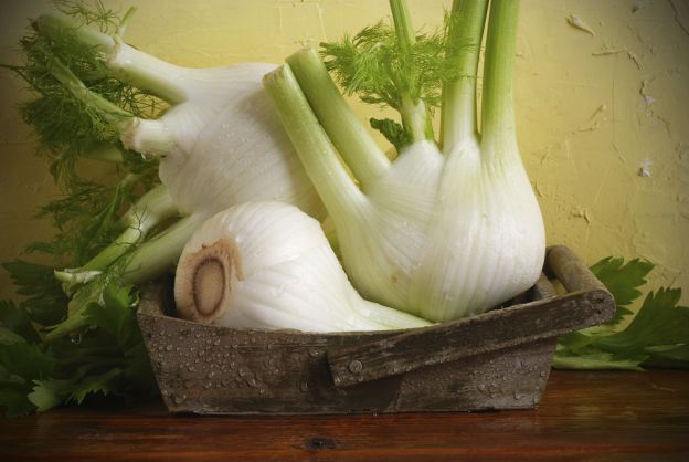 Fennel