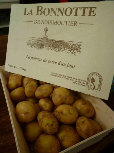 #14 LA BONNOTTE DE NOIRMOUTIER potatotes