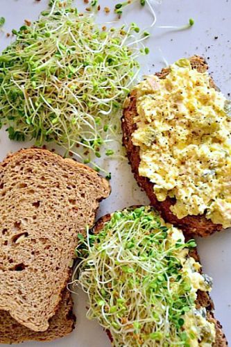 Egg salad with tuna and sweet pickles sandwiches