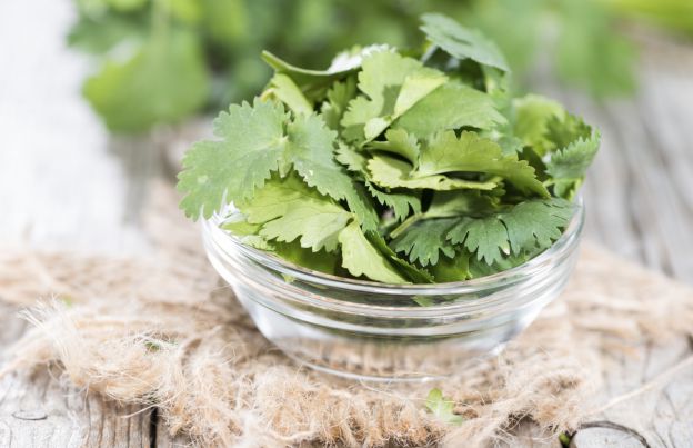 Cilantro and coconut