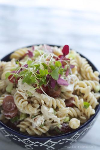 Fancy Chicken and Pecan Pasta Salad