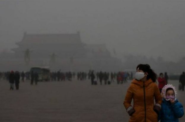 5. Pollution takes a drastic toll