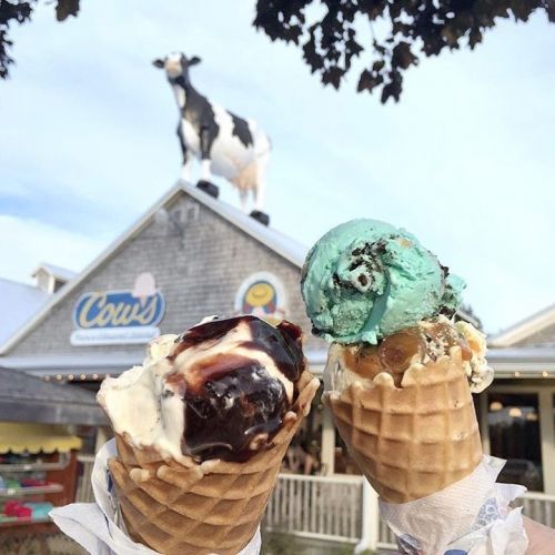 Cows Creamery - Prince Edward Island, Canada