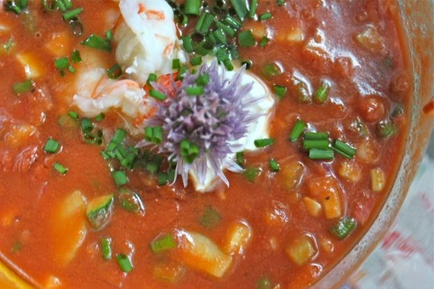 Gazpacho Soup