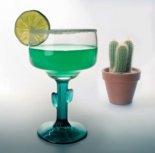 Cactus Sipper