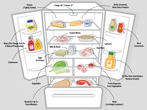 HOW TO ORGANIZE YOUR REFRIGERATOR