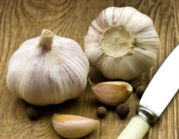 Garlic