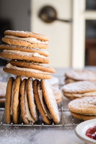 Peanut Butter and Jelly Sandwich Cookies