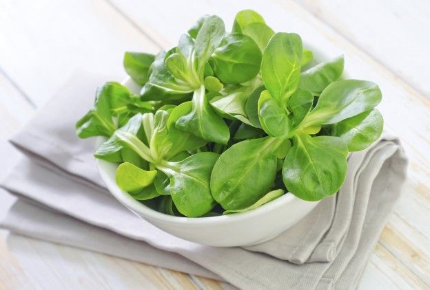 Lamb's lettuce or Mache