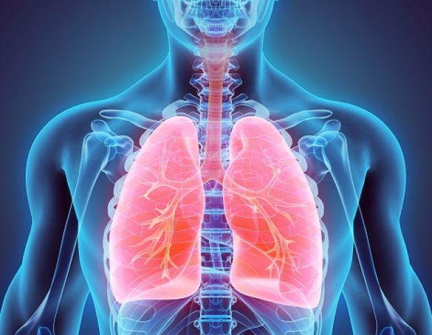 4. CLEAR UP YOUR RESPIRATORY SYSTEM