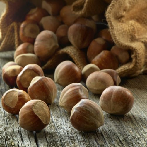 Hazelnuts