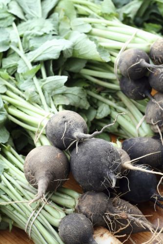 Black radishes