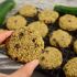 Chocolate Chip Zucchini Cookies