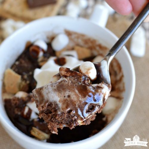 S'mores Chocolate Mug Cake