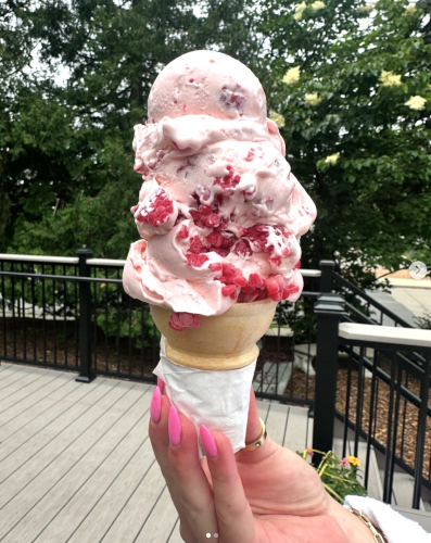 Minnesota: Adele's Frozen Custard, Excelsior