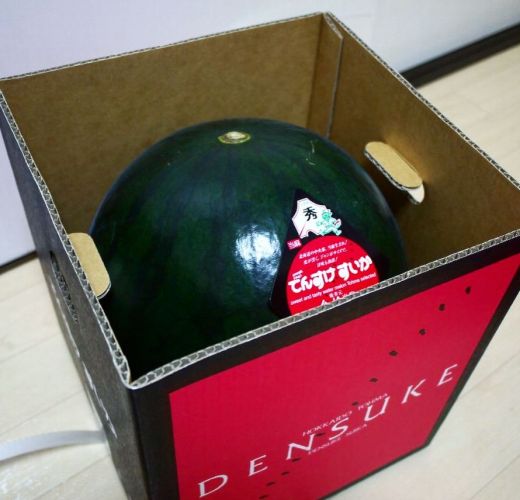 Densuke Black Watermelon