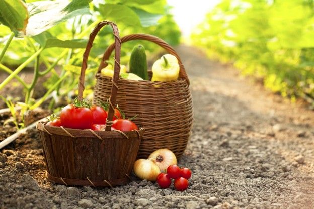 Cherry tomatoes