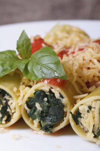 Spinach and ricotta canneloni