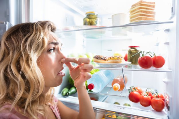 Deodorizes Your Fridge