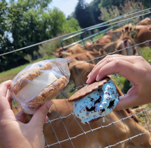 Delaware: Woodside Farm Creamery, Hockessin