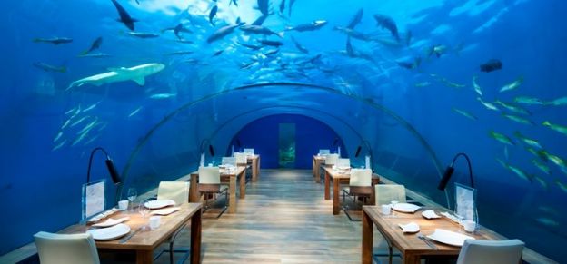 Ithaa Undersea Hotel (Rangali Island, Maldives)