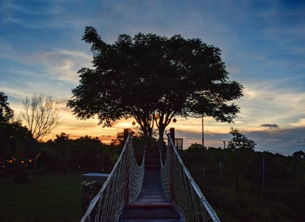 Dedari Theory - BAli, Indonesia