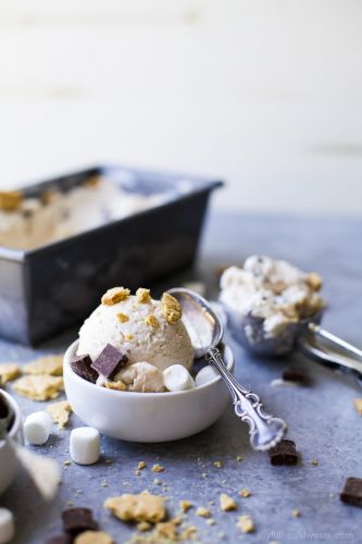 Homemade S'more Frozen Yogurt