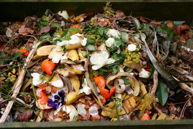 Make Your Own Compost