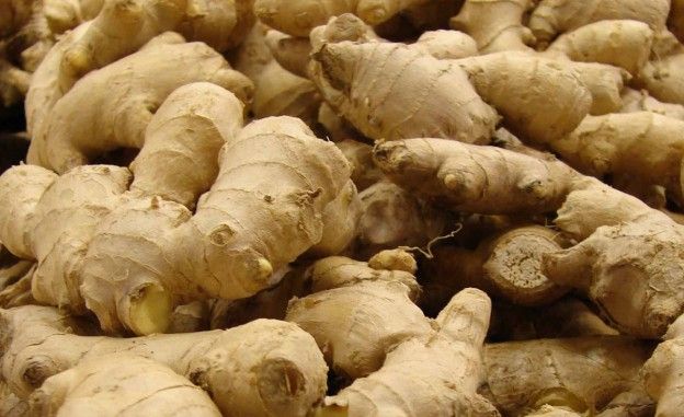 They eat ginger to heat up their metabolism