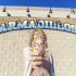 South Dakota: Armadillo's Ice Cream Shoppe, Rapid City