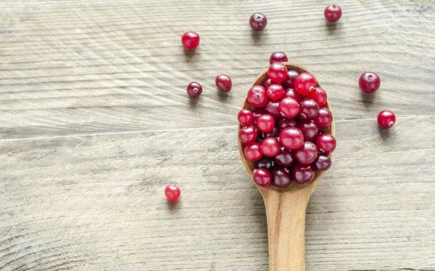 Dried cranberries