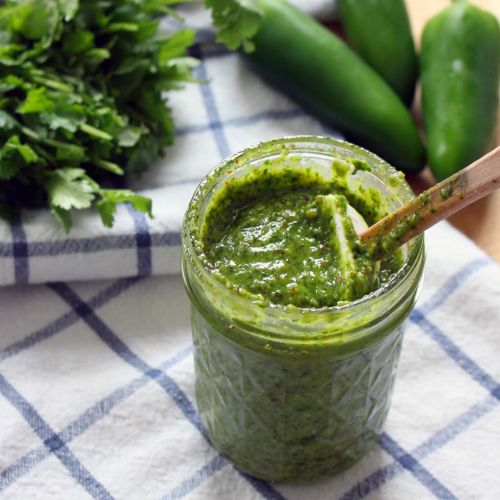 Cilantro Jalapeno Pesto