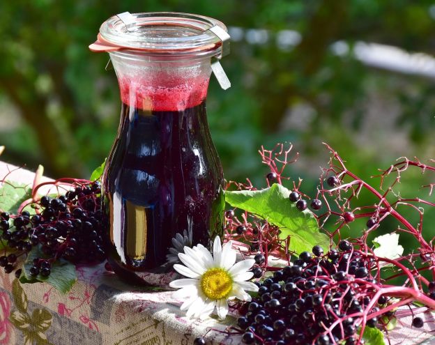 Elderberry