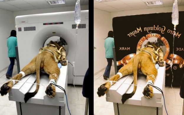 METRO GOLDWYN MAYER