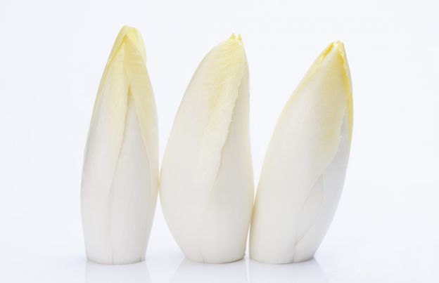 Belgian Endive