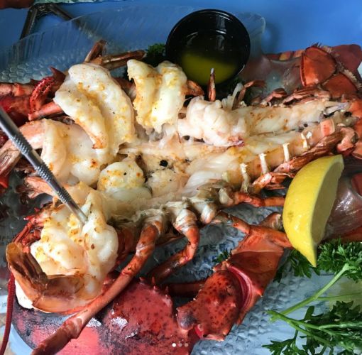 Mabel's Lobster Claw - Kennebunkport, ME