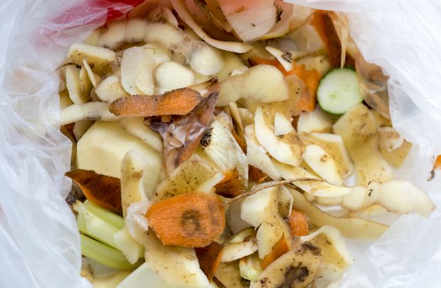 Vegetable scraps